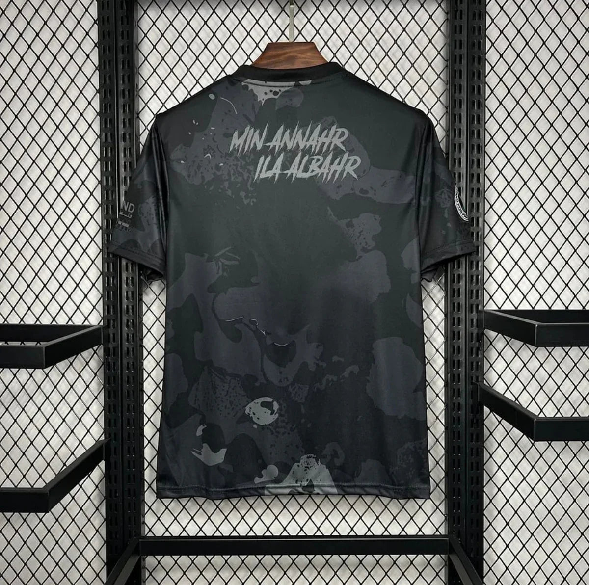 Palestine 2025 Concept